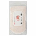 伊勢えびのだし塩 160g メール便送料無料