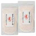 伊勢えびのだし塩 160g×2個セット メール便送料無料