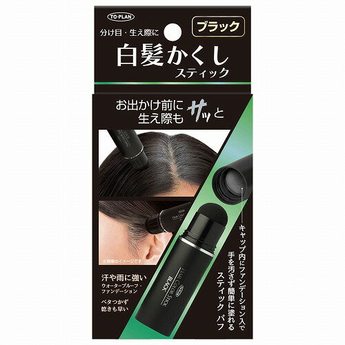 白髪かくしスティック ブラック 4g メール便送料無料のサムネイル