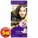「7/26AM1:59迄エントリーでP5倍」サロンドプロ 泡のヘアカラー エクストラリッチ 白髪用 4G グレージュ 医薬部外品