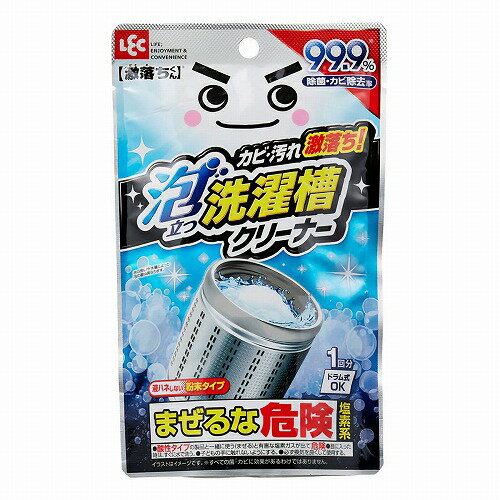 LEC レック S00852 激落ちくん 泡立つ 洗濯槽クリーナー 120g