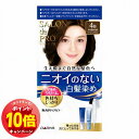 「エントリーでポイント10倍」サロンドプロ 無香料ヘアカラー 早染めクリーム4B 白髪用 やや深みのあるベージュブラウン 1セット 医薬部外品