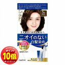 「エントリーでポイント10倍」サロンドプロ 無香料ヘアカラー 早染めクリーム5B 白髪用 深みのあるベージュブラウン 1セット 医薬部外品