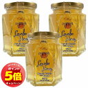 「エントリーでポイント5倍」ハンガリー産 巣はちみつ入り アカシア蜂蜜 350g×3個セット 送料無料
