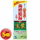 「7/26AM1:59迄エントリーでP5倍」小林製薬 薬用 生葉(しょうよう) 40g 医薬部外品 メール便送料無料