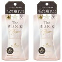 サナ 毛穴パテ職人 毛穴崩れブロック下地 25mL×2個セット メール便送料無料