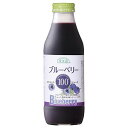 順造選 ブルーベリー100 500ml