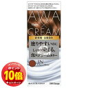 「エントリーでポイント10倍」ビゲン 泡クリームカラー 3N シフォンブラウン