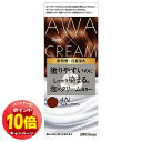 「エントリーでポイント10倍」ビゲン 泡クリームカラー 4N フォギーブラウン