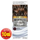 「エントリーでポイント10倍」ビゲン 泡クリームカラー 6N ダークブラウン