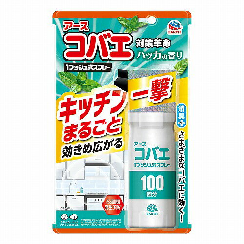 アースコバエ キッチンまるごと 1プッシュ式スプレー 100回分 115mL