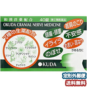 【第（2）類医薬品】 奥田脳神経薬（40錠） メール便送料無料