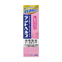 デントヘルス 薬用ハミガキ しみるブロック 85g 医薬部外品 メール便送料無料