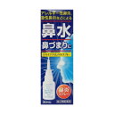 【第2類医薬品】 スカイブブロンNAスプレー 30mL メール便送料無料