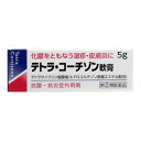 【第(2)類医薬品】 テトラ・コーチゾン軟膏 5g メール便送料無料