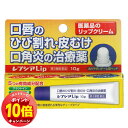「エントリーでポイント10倍」【第3類医薬品】 レプシアLip 10g メール便送料無料
