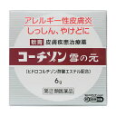 【第(2)類医薬品】 コーチゾン雪の元 6g メール便送料無料 ※セルフメディケーション税制対象商品
