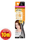 「エントリーでポイント10倍」サロンドプロ カラーオンリタッチ 白髪かくしEX 明るいライトブラウン メール便送料無料
