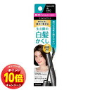 「エントリーでポイント10倍」サロンドプロ カラーオンリタッチ 白髪かくしEX ナチュラルブラック メール便送料無料