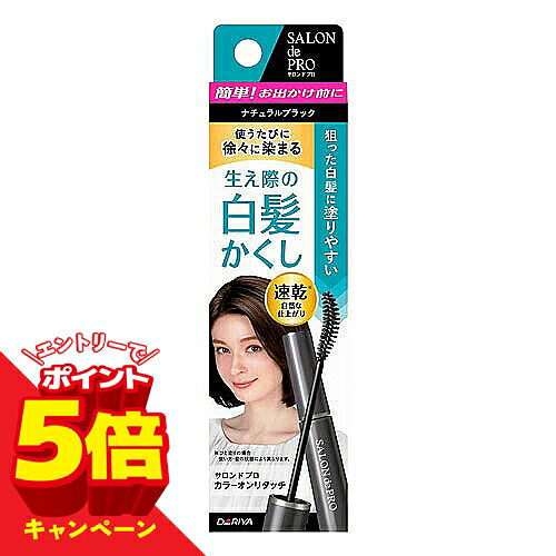 【エントリーでP5倍】サロンドプロ カラーオンリタッチ 白髪かくしEX ナチュラルブ...