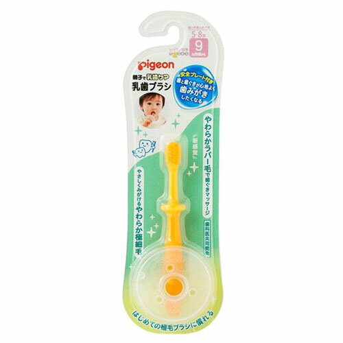※パッケージデザイン等は予告なく変更されることがあります。予め御了承下さい。 【商品特徴】 はじめての植毛ブラシの感覚に慣れる練習ができる乳歯ブラシ ・9ヵ月頃から(歯の本数のめやす5〜8本) ・歯と歯ぐきが心地よく歯みがきしたくなる ・やわらか植毛ブラシとラバーブラシで歯と歯ぐきに心地よい2つのブラシ ・裏面もやわらかかんでも安心なヘッド ・しっかり握りやすいやわらかグリップ ・のどをつかない安全プレート付き! ・ソフトな弾力で安心 【使用方法】 安全プレートセット方法 ※のどつき防止の為、必ず安全プレートをセットしてお使いください。 (1)安全プレート裏面から、ブラシ本体をブラシヘッド部より挿入します。 (2)安全プレートを親指と人差し指の間で保持し、安全プレートの穴の内側の溝にネックリング部の片側からブラシ本体を強く押し入れ、安全プレートがしっかり、はまったことを確認してください。 ※ はめにくい時は、ブラシ本体を少し斜めにして穴に押し入れてください。 ・ご使用後は流水でよく洗い、水切りをしてから、お子様の手の届かないところに保管してください。 【素材】 歯ブラシ本体 ・柄の材質:本体部：ポリプロピレン・ラバー部：熱可塑性エラストマー ・毛の材質:植毛部：ナイロン・ラバー部：熱可塑性エラストマー ・毛の硬さ:やわらかめ ・耐熱温度:80℃ 安全プレート ・材質:ポリプロピレン ・耐熱温度:120℃ 【注意事項】 ・本品はおもちゃではありません。のどつきなどの重大な事故を招く恐れがありますのでくわえさせたまま遊ばせないように、保護者の監督のもとでご使用ください。 ・ブラシヘッド部は、かんで引っ張ると裂けることがありますのでご注意ください。 ・本品のご使用により歯ぐきがはれたり出血が止まらない場合、一旦、使用を中止し、歯科医にご相談ください。 ■発売元：ピジョン 広告文責 くすりの勉強堂 TEL 0248-94-8718