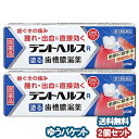 【第3類医薬品】 デントヘルスR 40g×2個セット メール便送料無料