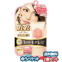 サナ 毛穴パテ職人 ミネラルBBクリーム ナチュラルマット NM 30g×2個セット メール便送料無料