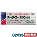 【第（2）類医薬品】 テトラ コーチゾン軟膏 5g メール便送料無料