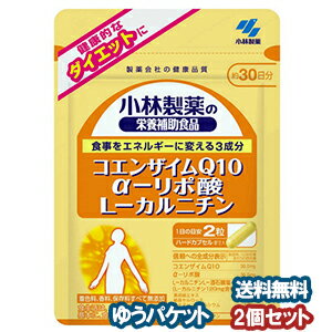 小林製薬 コエンザイムQ10・α-リポ酸・L-カルニチン 60粒（30日分）×2個セット メール便送料無料