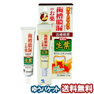  小林製薬 生葉口内塗薬 20g メール便送料無料