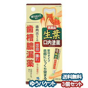 【第3類医薬品】 小林製薬 生葉口内塗薬 20g×3個セット メール便送料無料