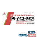 【第(2)類医薬品】 ドルマイコーチ軟膏 6g×2個セット メール便送料無料