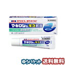 【第3類医薬品】 マキロンS キズ軟膏 10g メール便送料無料