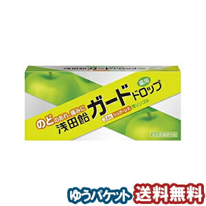 浅田飴 ガードドロップ 青リンゴ味 24錠 メール便送料無料