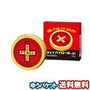 【第2類医薬品】キップ薬品 キップパイロールHi 15g メール便送料無料