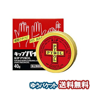 キップ薬品 キップパイロールHi 40g メール便送料無料