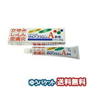 【第3類医薬品】 ダイアフラジンA 軟膏 20g メール便送料無料 ※セルフメディケーション税制対象商品