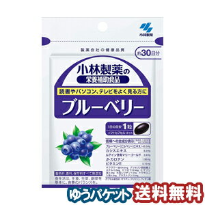 小林製薬 ブルーベリー 30粒（約30日分） メール便送料無料