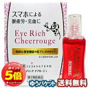 「7/26AM1:59迄エントリーでP5倍」【第2類医薬品】アイリッチチアルージュ 13mL メール便送料無料 ※セルフメディケーション税制対象商品