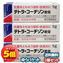 「7/26AM1:59迄エントリーでP5倍」【第(2)類医薬品】 テトラ・コーチゾン軟膏 5g×3個セット メール便送料無料