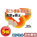 「7/26AM1:59迄エントリーでP5倍」【第3類医薬品】おきゅ膏Z 120枚 メール便送料無料 ※セルフメディケーション税制対象商品