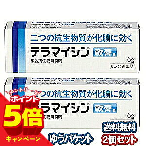 【エントリーでP5倍】【第2類医薬品】 テラマイシン軟膏a 6g×2個セット メール便送料無料