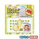 お風呂の防カビプレミアム ナチュラルミント メール便送料無料(3)