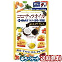 ココナッツオイルブレンドダイエット Richチャコール　90粒 メール便送料無料