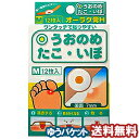 【第2類医薬品】 オーラク膏H Mサイズ 12枚 メール便送料無料