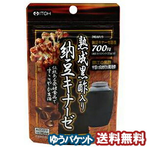 井藤漢方 熟成黒酢入り納豆キナーゼ 60球 メール便送料無料