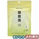 ファイテン 酪酸菌 180粒 メール便送料無料(4)