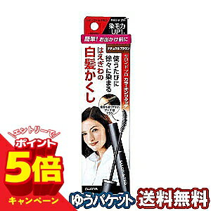 【エントリーでP5倍】サロンドプロ カラーオンリタッチ 白髪かくしEX ナチュラルブ...