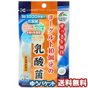 リケン ヨーグルト10個分の乳酸菌 62粒 メール便送料無料