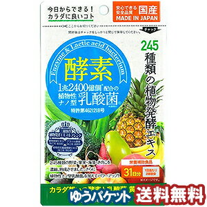 ミナミヘルシーフーズ　酵素＋植物性乳酸菌　62球 メール便送料無料